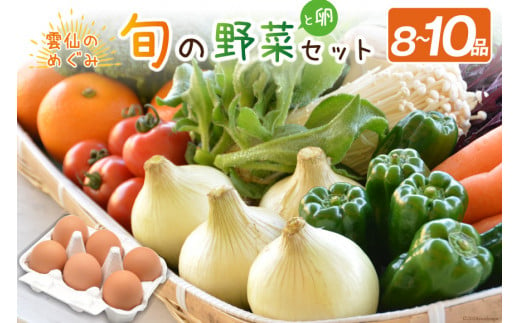 雲仙のめぐみ 旬の野菜セット (S)【卵6個付き】 8～10品目セット [長崎県農産品流通 長崎県 雲仙市 item1572] 野菜 野菜セット フルーツ 果物 くだもの 卵 たまご