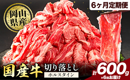 【6ヶ月定期便】牛肉 肉 国産牛 切り落とし ホルスタイン 大容量 小分け 600g(300g×2) 《お申込み月の翌月から出荷開始》牛肉 岡山県産 岡山県 矢掛市 お肉 にく カレー 牛丼