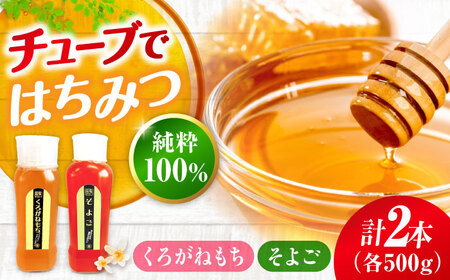 チューブ はちみつ （そよご・くろがねもち）500g ×2本[APBO008] はちみつ はちみつ はちみつ はちみつ はちみつ