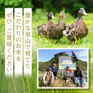 ＜新米・令和7年産＞佐田の郷の米 特別栽培米(5kg)お米 白米 ごはん ヒノヒカリ ひのひかり ブランド米 常温 常温保存【111700704】【雅設置プロジェクト　佐田の郷の会】