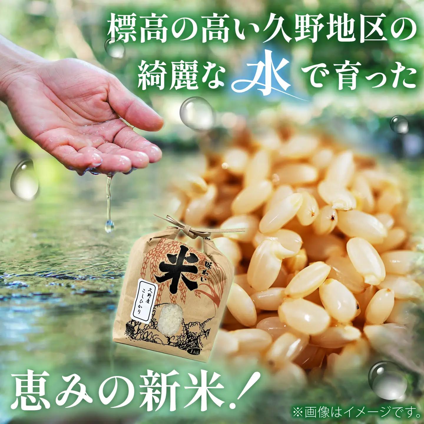新米 コシヒカリ 玄米 10kg 新米 【令和8年産 先行予約】  [AIAN003]