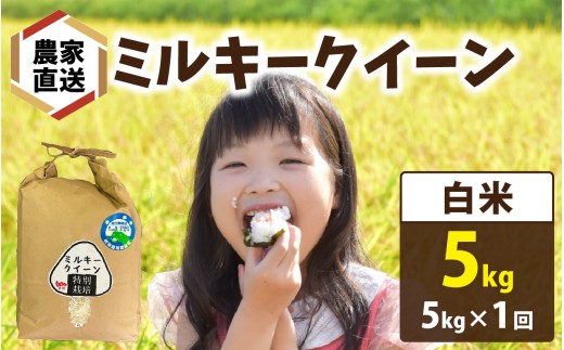 【先行予約】【 令和8年産　新米 】【農家直送】 ミルキークイーン 5kg×1袋（計5kg）白米【2026年10月より順次発送】