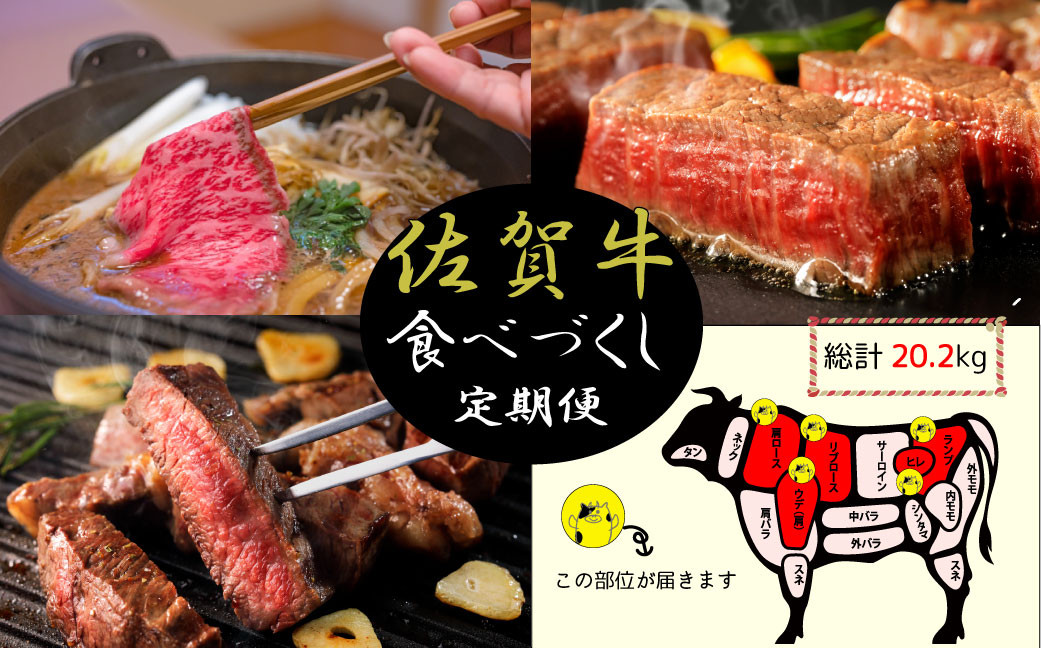 
            【定期便セット】佐賀牛食べづくし4種セット総計20.2kg：TypeB（ヒレ/ロース/ランプ/すき焼き）　全12回
          