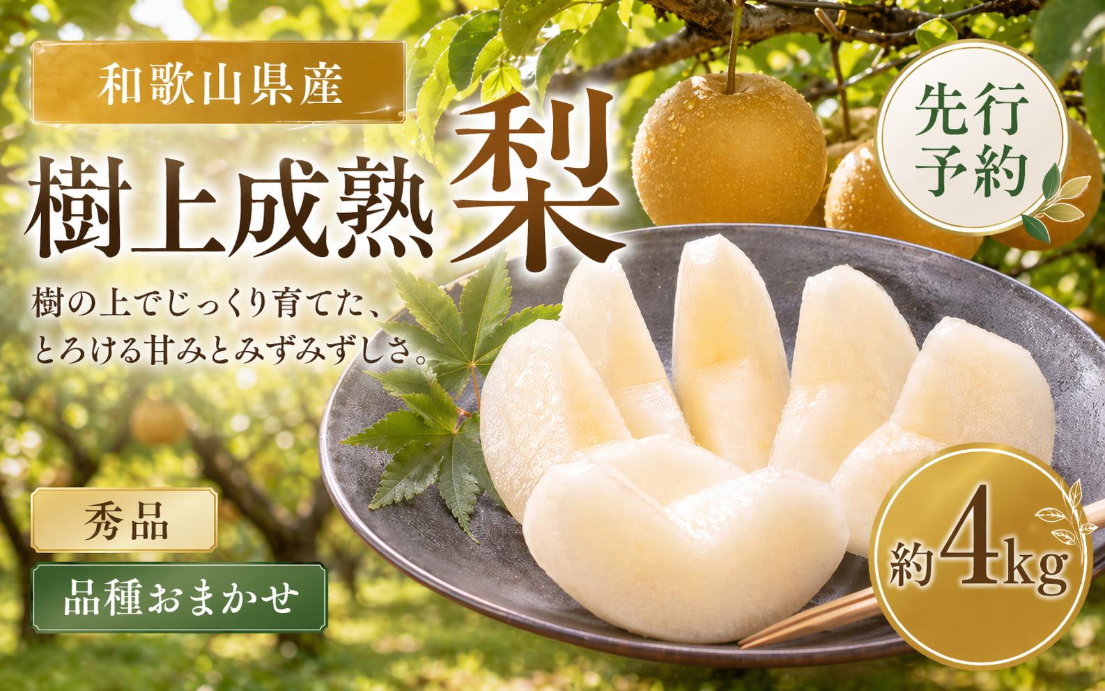 
                  和歌山の 樹上 成熟 梨 約4kg 【先行予約】【2026年8月上旬～9月中旬頃配送】
                