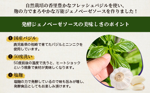 発酵ジェノベーゼソース(150g×2個)【鹿児島県枕崎産 バジル使用】A2−17【配送不可地域：離島】【1611632】