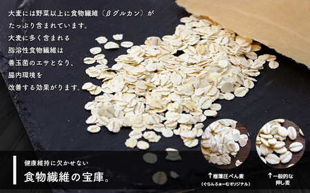 【定期便3ヶ月】厳選大麦グラノーラ Lパケットセット