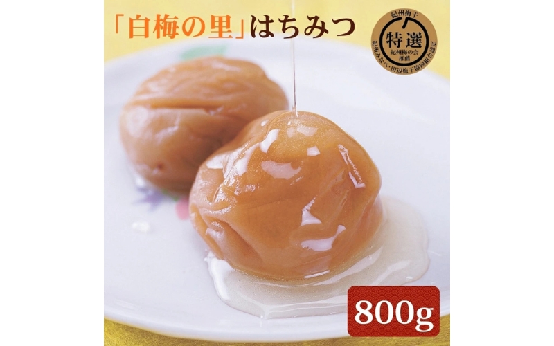特選 紀州南高梅「白梅の里」はちみつ 約800g 塩分約8％　sekifz030B