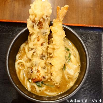 ふるさと納税 藤沢市 カレーうどん富貴堂　カレーうどんのもと　3袋入り(1袋3人前) |  | 01