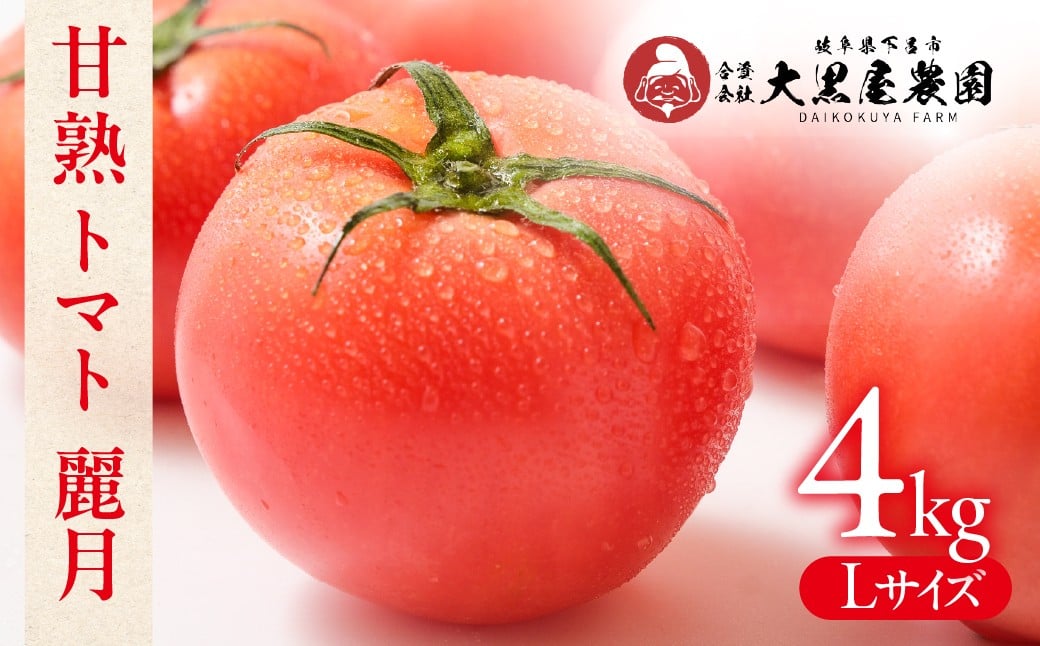 
            先行予約【期間限定】（2026年7月上旬頃から順次発送）大黒屋農園 甘塾トマト 麗月 Ｌサイズ 4kg レイゲツ とまと 下呂市【大黒屋農園】
          
