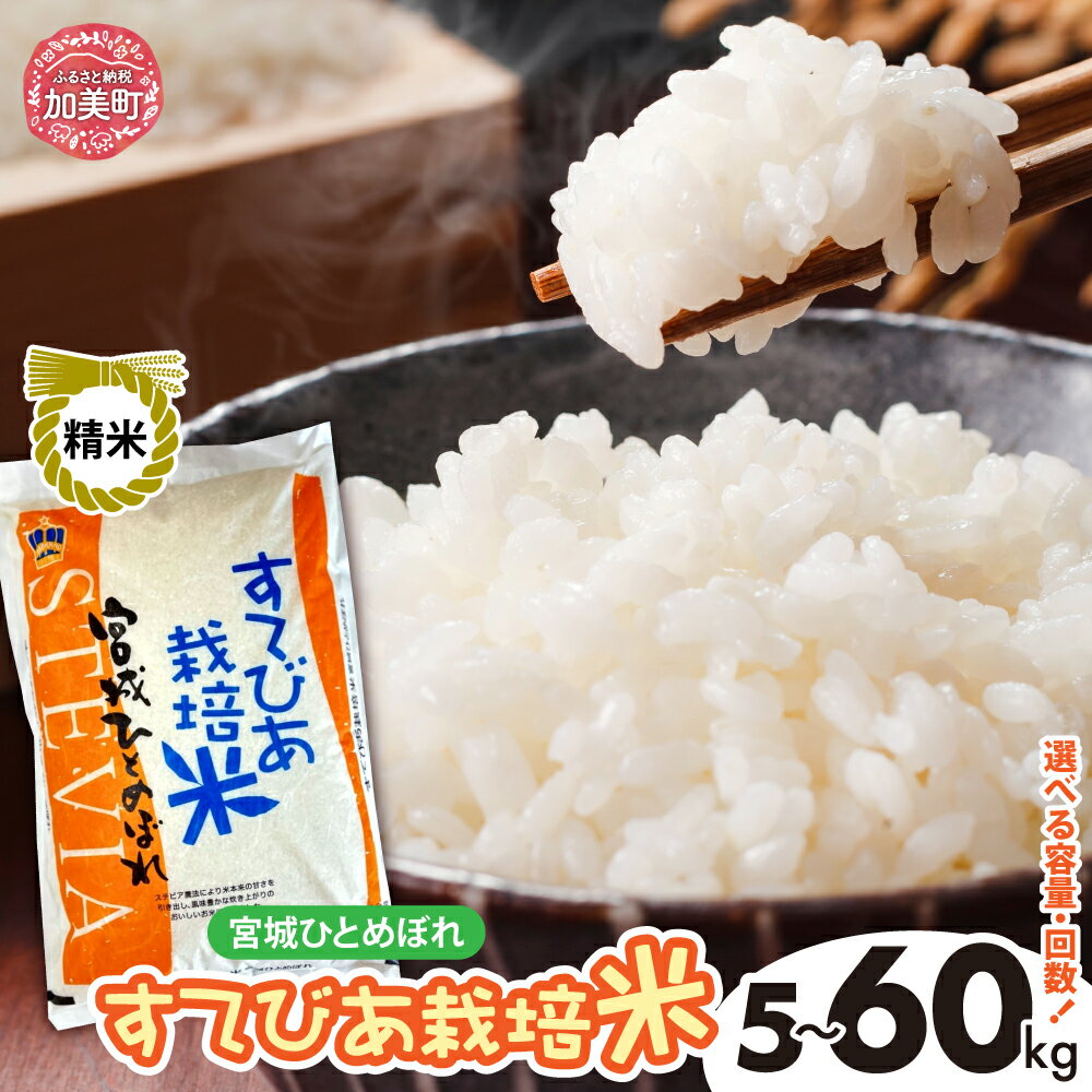 【ふるさと納税】米 5kg 10kg 《 令和7年 先行予約 》 米 白米 精米 宮城 ひとめぼれ 選べる内容量 ｜ 宮城県産 ステビア すてびあ栽培米 ヒトメボレ こだわり 独自農法 美味しい [ 宮城県 加美町 ]