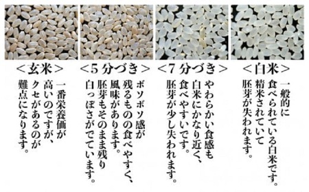 令和8年産・新米 (5分づき) 定期便 ≪6ヶ月連続お届け≫ あきさかり 10kg × 6回 生活応援 [K-0201_03]
