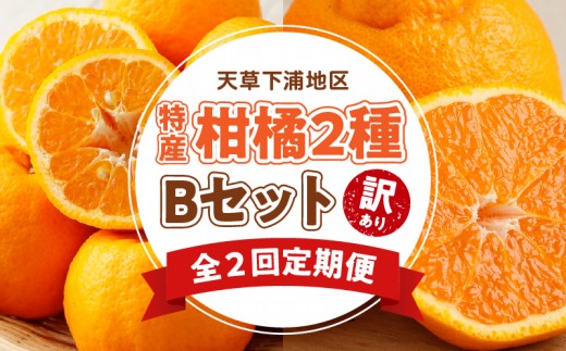 
                  S040-T06A_【定期便2回】天草　下浦特産の柑橘2種Ｂセット（訳あり）
                