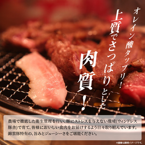 【ブランド豚肉】お米育ちの錦雲豚ギフト（焼肉用1kg）とハム類のセット_FN0401