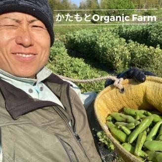 【2024年産 予約】甘～い そら豆 4kg【期間限定】京都府・亀岡産 自然栽培のかたもとオーガニックファームよりお届け※2024年4月末頃～6月初旬に順次発送予定※離島への配送不可