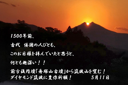筑波山麓産米を中心に厳選した【茨城県産こしひかり】令和7年産白米10kg B07-015