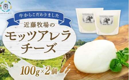 近藤牧場のモッツアレラチーズ（100g×2個） mi0003-0003