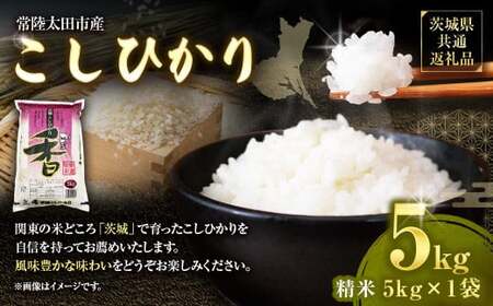【令和7年産 新米】茨城県産こしひかり 精米5kg（茨城県共通返礼品・常陸太田市産）   ／ コシヒカリ 米 お米 こめ おこめ コメ 白米 ご飯 ごはん