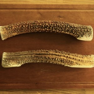 鹿の角（Ｌサイズ×2本）京都丹後産 ペット犬用おやつ ドッグガム