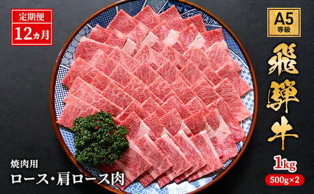 【定期便12ヶ月】牛肉 飛騨牛 焼き肉 セット ロース 又は 肩ロース 1kg 黒毛和牛 Ａ5 美味しい お肉 牛 肉 和牛 焼肉 BBQ バーベキュー 【岐阜県池田町】