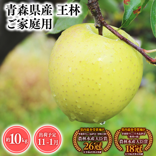 2025年産１１月～１月発送　【訳あり】家庭用王林10ｋｇ　【そと川りんご園・１１月・１２月・１月・青森県産・平川市・りんご・王林・10ｋｇ・訳あり・家庭用】