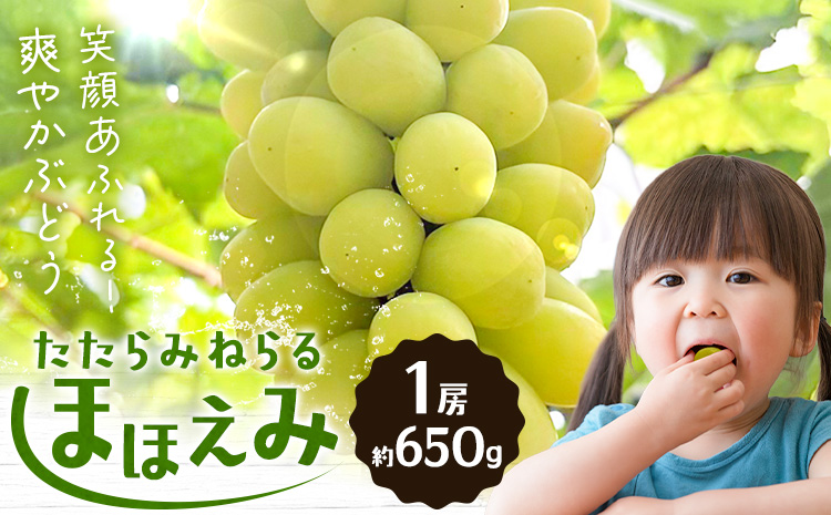 【先行予約】たたらみねらる ほほえみ 1房(約650g) Ｙ＆Ｇ．ディストリビューター株式会社《2026年8月中旬-10月上旬頃出荷》岡山県 笠岡市 果物 フルーツ ブドウ お取り寄せフルーツ シャインマスカット の交配品種