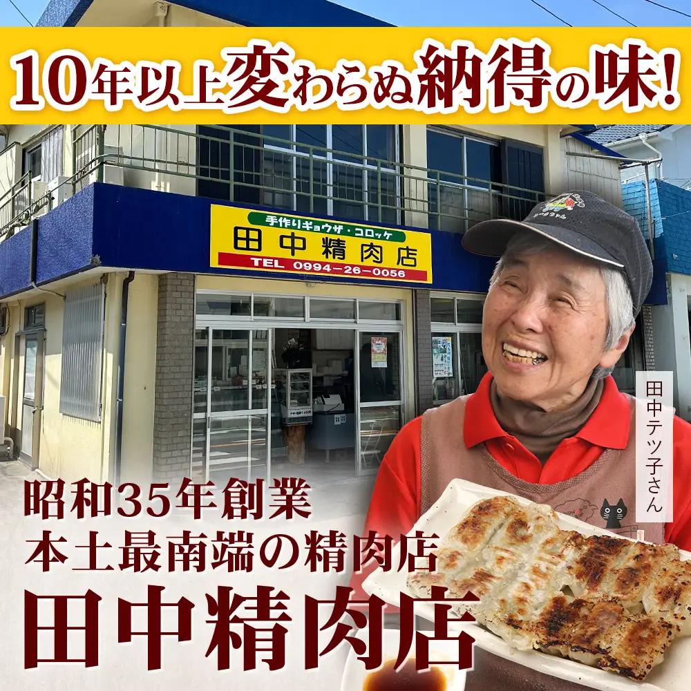 《リピーター続出！》佐多の田中肉屋 ニンニクたっぷりやみつき餃子 120個（12個入り×10パック） 餃子のタレ付き TA-402 | ぎょうざ 餃子 ギョウザ 豚肉 ひき肉 にんにく スタミナ餃子 
