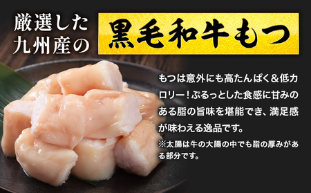 1本もつ鍋 (醤油味) 太腸編 1kg 入り《30日以内に出荷予定(土日祝除く)》もつ もつ鍋 醤油味 鍋 セット 詰め合わせ 牛 牛もつ 送料無料