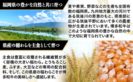 A5等級の博多和牛が届きます！ 博多和牛サーロインしゃぶしゃぶ用500g《30日以内に出荷予定(土日祝除く)》博多和牛  肉の筑前屋 牛肉 サーロイン しゃぶしゃぶ