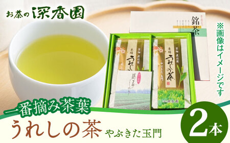 一番摘み茶葉使用 うれしの茶 2本入（やぶきた 玉門 100g×2本） /お茶の深香園 [UAF006] お茶 緑茶 お茶 煎茶