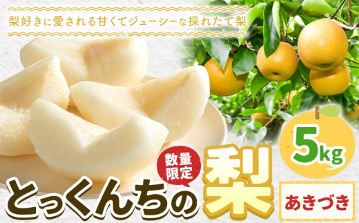 【2026年先行予約】とっくんちの梨「あきづき」約5kg 《8月下旬-9月中旬頃出荷》 数量限定 鈴木農園 茨城県 結城市 果物 フルーツ 甘み ジューシー 豊か 芳香 しゃりっ 爽やかな 季節【配送不可地域あり】[№5802-0897]