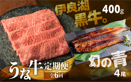 【定期便】幻の青うなぎ＆伊良湖黒牛 堪能定期便 6回
