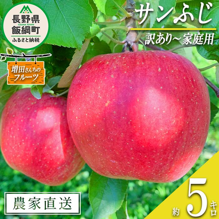 【ふるさと納税】 りんご サンふじ 訳あり 5kg 増田さんちのりんご 沖縄県への配送不可 令和7年度収穫分 長野県 飯綱町 〔 信州 果物 フルーツ リンゴ 林檎 長野 予約 農家直送 14000円 〕発送時期：2025年11月下旬〜2026年2月上旬