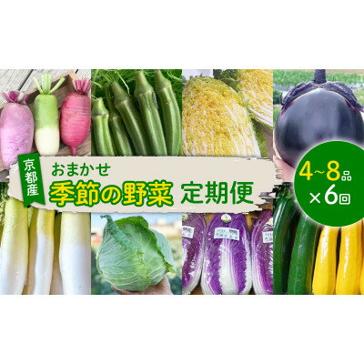 【ふるさと納税】【毎月定期便】季節のおまかせ野菜セット 4～8種詰め合わせ 計2kg～3kg全6回【4069424】