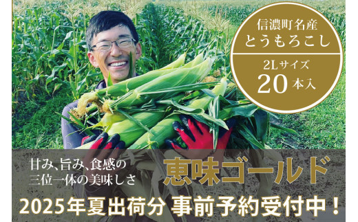 信濃町名産とうもろこし『落影農場の恵味（めぐみ） 20本セット』／スイートコーンの人気品種を早期予約限定で受付中！ 【2025年夏のご予約受付開始！】 令和7年7月下旬〜出荷予定 2025年夏出荷分 先行予約【長野県信濃町ふるさと納税】