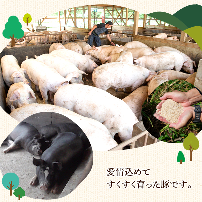 i326 《業務用・訳あり》Newポークウインナー(1kg×3P・計3kg)おかずやお弁当に大活躍！【ナンチク】