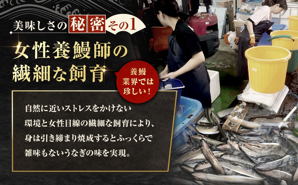 めぐみうなぎきざみ