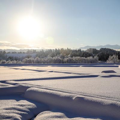 ふるさと納税 十日町市 【毎月定期便】魚沼産こだわり従来コシヒカリ  5kg(5kg×1袋)×12回 合計60kg全12回 |  | 02