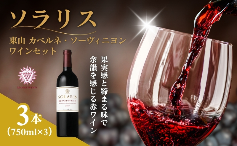 ソラリス 東山カベルネ・ソーヴィニヨン ワインセット 750ml×3本 赤ワイン お酒 ぶどう酒 晩酌 おうちディナー 飲み物 家飲み 宅飲み スパイス ロースト香 果実味 酸味 タンニン