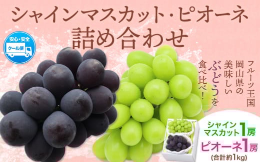 【2026年先行予約】シャインマスカット・ピオーネ詰め合わせ 約1.0kg マスカット 葡萄 ブドウ ぶどう ピオーネ フルーツ セット  晴れの国おかやま館 《2026年8月下旬‐10月下旬頃出荷》 フルーツ 果物 果実 岡山県 笠岡市