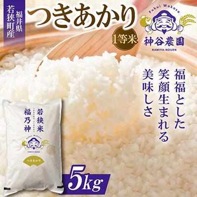 ふるさと納税 若狭町 【令和8年産先行受付】福井県若狭町 つきあかり(1等米)　5kg