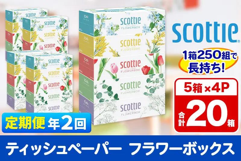 《6ヶ月ごとに2回お届け》定期便 ティッシュペーパー スコッティ フラワーボックス250組 20箱(5箱×4パック) ティッシュ 秋田市オリジナル 最短翌日発送