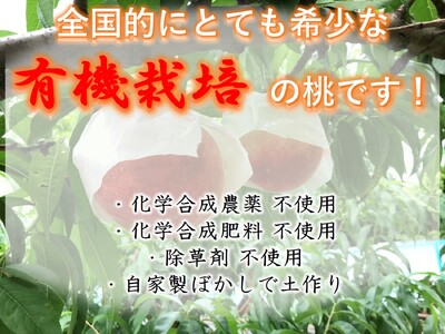 ＜2026年発送先行予約＞【有機栽培の美味しい桃約3kg 7月後半発送】自然に優しく希少でジューシーな天然桃(8～11個入)！ ALPEF014