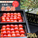 【ふるさと納税】先行予約《こだわりのY字仕立て栽培》さくらんぼ「佐藤錦」700g 秀品 Lサイズ以上 化粧箱入り 【2025年6月上旬頃〜下旬頃発送予定】／ 2025年産 令和7年産 お取り寄せ フルーツ 果物 果実 ご当地 特産 高級 山形産 山形県産 生産者直送 山形県寒河江市