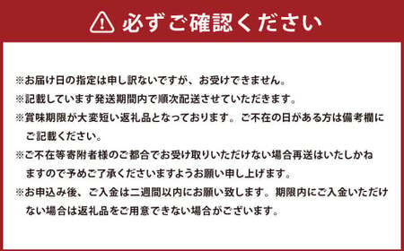 岡山県産 ニューピオーネ 4房 （1房480g以上） 約2kg 【2025年8月下旬～10月上旬発送予定】 ／ 葡萄 ぶどう 果物 果実 フルーツ 種なし 岡山県 美咲町 冷蔵