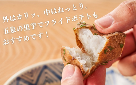 【令和8年産先行予約】五泉産【訳アリ】大玉さといも（2L以上）2kg | 新潟県 里芋