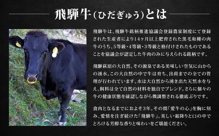 【BOXカラー 白】飛騨牛 10品から選べる！カタログギフト 10000円分 牛肉 肉ギフト あとから選べる 肉贈 にくぞう ブランド牛 肉 贈答 ギフト プレゼント カタログ 選べる 後から選べる 