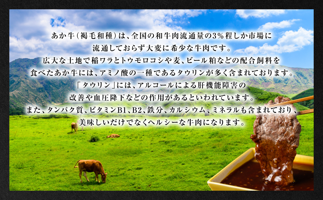 【GI認証】 くまもとあか牛 焼肉用 400g お肉 牛 焼肉 赤身 バーベキュー_イメージ5