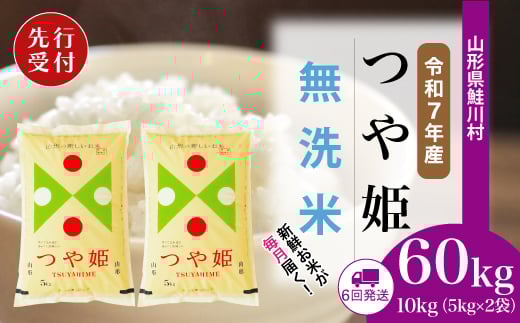 ＜令和7年産米先行受付＞ 鮭川村 特別栽培米 つや姫 【無洗米】 定期便 60kg （10kg×1ヶ月間隔で6回お届け）＜配送時期選べます＞