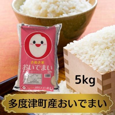 ふるさと納税 多度津町 【令和7年産】多度津町産おいでまい 5kg【L-37】