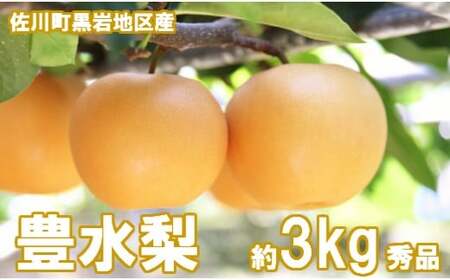 ＜2026年秋発送 先行受付中！＞豊水　梨（約３kg／4～7玉）